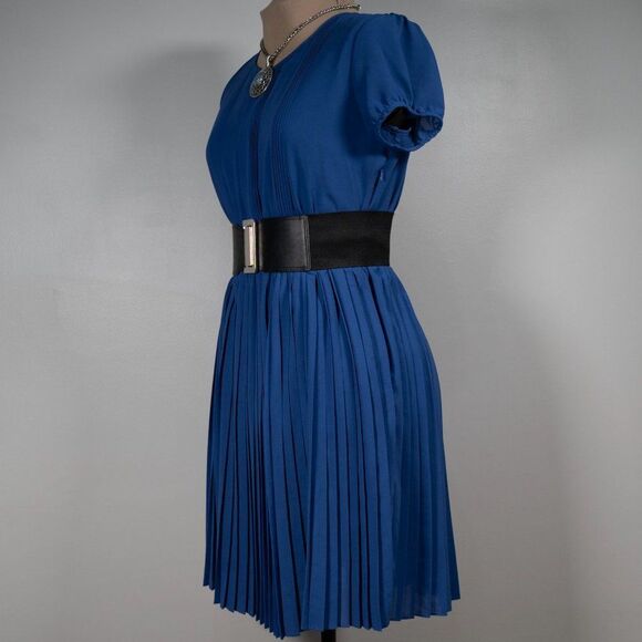 Chadwicks Collection Petite Periwinkle Fit and Flare Pleated Dress - Picture 3 of 6